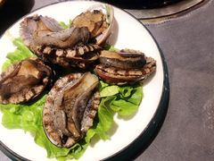 鲜活小鲍鱼-金龙·打边炉(武进路店)