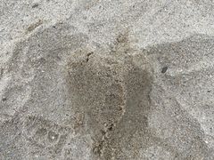-白城沙滩