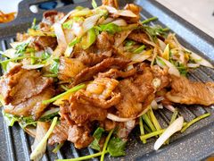 铁板羊肉-撒拉花儿·新疆菜·清真(太阳宫店)