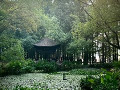 -东湖落雁景区