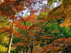 -兰溪青年公园