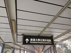 -香港大学