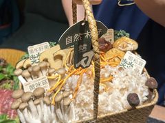 -大龙燚·旷野鲜火锅(广州首店)