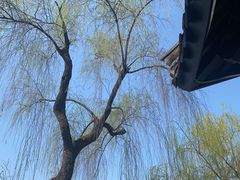 -柳莺湖上·湖景餐厅·江南菜(西湖店)