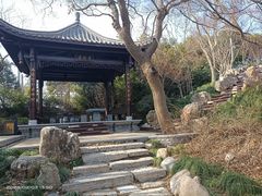 -朴园