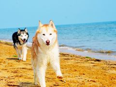 -格朗合米线(社会山店)