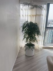 -HEYAN荷妍专业脱毛连锁机构