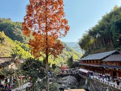 -林坑古村落