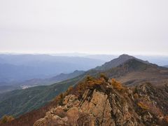 -白草畔自然风景区