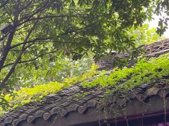 -三只耳火锅(宽窄巷子店)