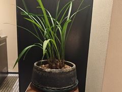 -羊门客在·烤盐池滩羊·川菜