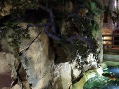 -御池园(顾村公园店)
