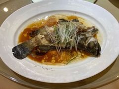 清蒸石斑-鹏天阁酒楼·海鲜(红旗店)
