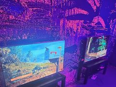 -VS SPORTS PARK运动玩乐园·团建·生日会(合生汇店)
