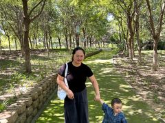 -大兴滨河森林公园