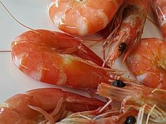 -万德诺富特酒店·自助餐厅(万德大厦店)