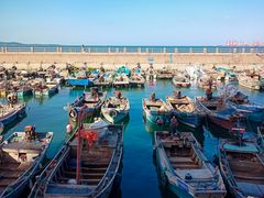 -悦海公园