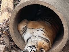 -济南野生动物世界