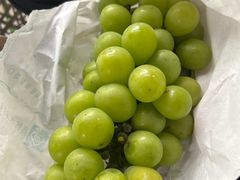 -马陆小张葡萄园农家乐