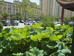 -沔阳会馆(沔街店)