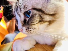 -白兔子密室(长寿路店)