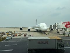 -上海浦东国际机场-T2航站楼