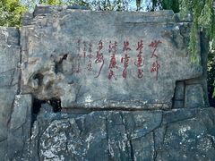 -白洋淀景区