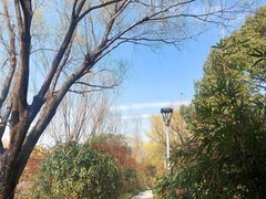 -新江湾城公园