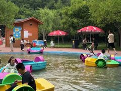 -西部长青自然儿童乐园