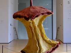 -旧金山现代艺术博物馆