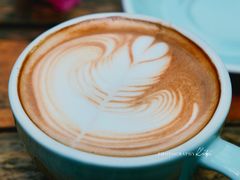 -豆舞咖啡(民乐路店)