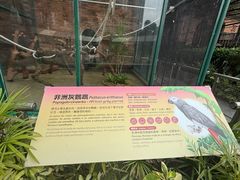 -石排湾郊野公园