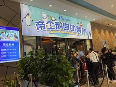 -帝企鹅自助餐厅•儿童岛•真企鹅(长隆企鹅酒店)
