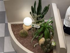 -隅乐胡椒虾·台湾菜·团建(皇岗店)