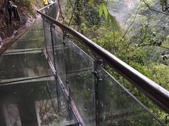 -九龙江国家森林公园