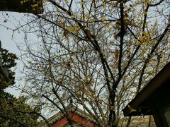 -徐州汉画像石艺术馆