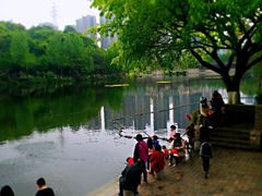 -重庆彩云湖湿地公园