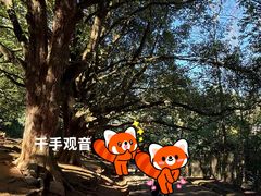 -和顺古镇