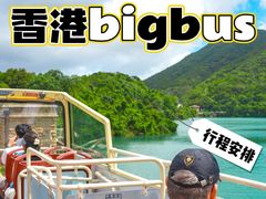 -Big Bus Tours 敞篷观光巴士