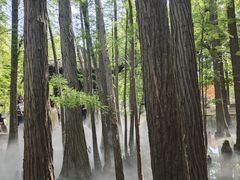 -东湖落雁景区