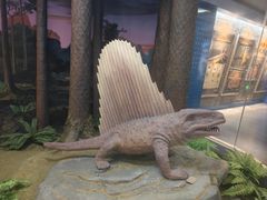 -国家自然博物馆