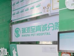 -瑞派动物医院·猫专科·至诚(江南中分院)