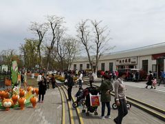 -上海长兴岛郊野公园