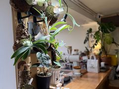 -本無咖啡·BeanWood Coffee