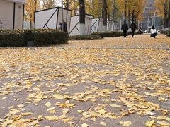 -百林公园-两江幸福广场