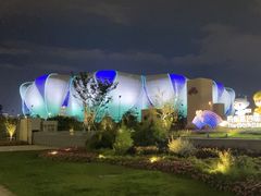 -杭州奥体中心-体育场