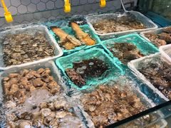 水产区-日进一片海.生腌海鲜火锅.宵夜烧烤(三里屯总店)