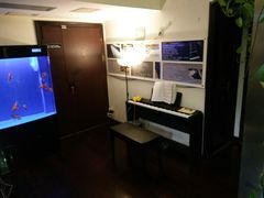 -圣典成人钢琴俱乐部(国贸旗舰校区)