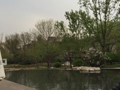 -白洋淀景区