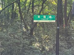 -灵顺寺